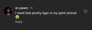 Fans want tiger plushies